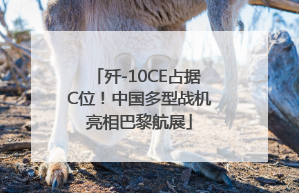 歼-10CE占据C位！中国多型战机亮相巴黎航展